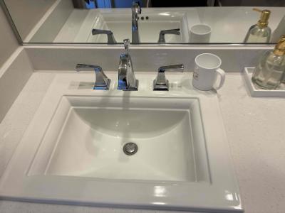 Drain Cleaning & Bathroom Sink Repair